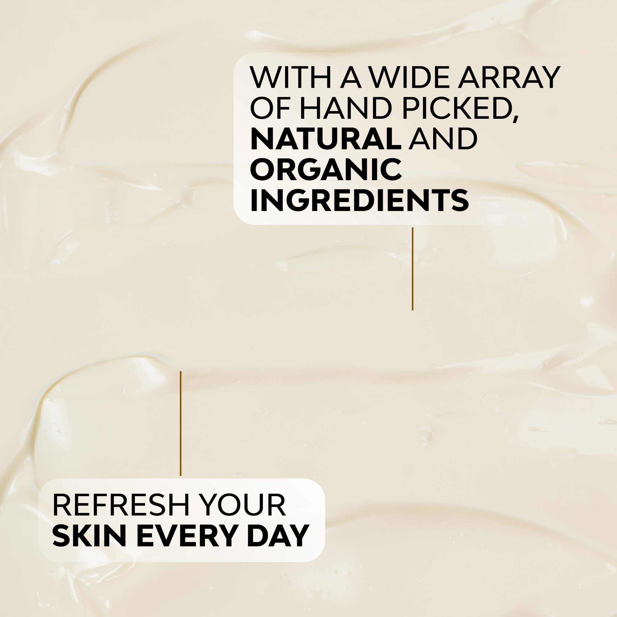 Timeless Eye Serum