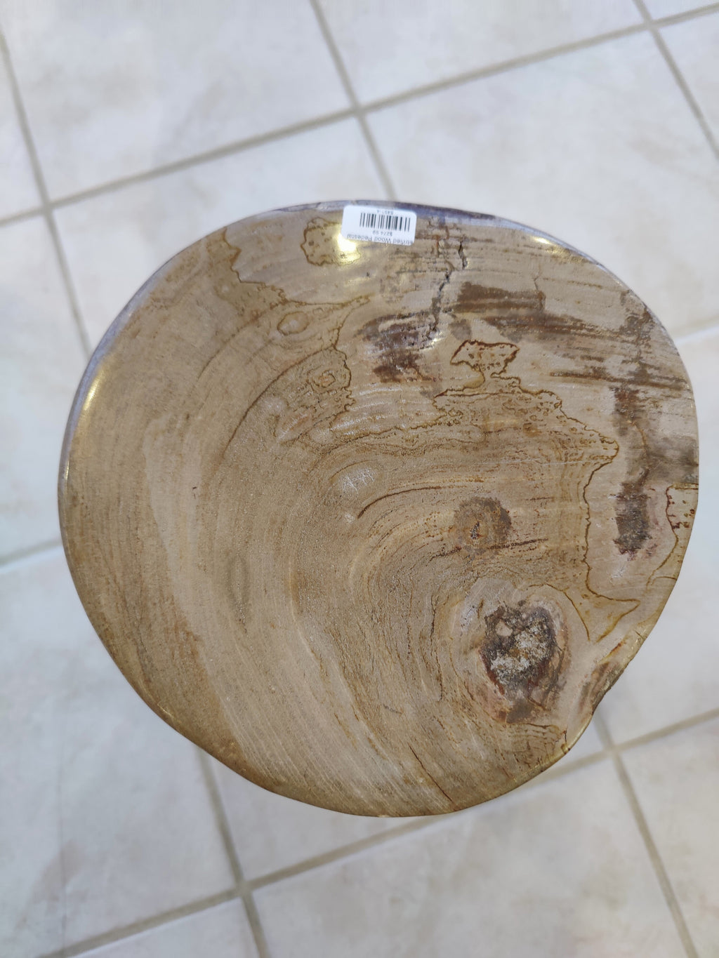 Petrified Wood Pedestal