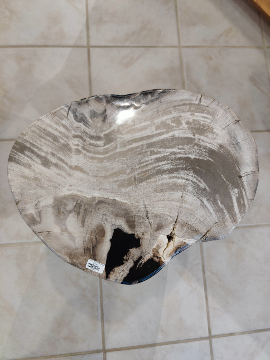 Petrified Wood Pedestal