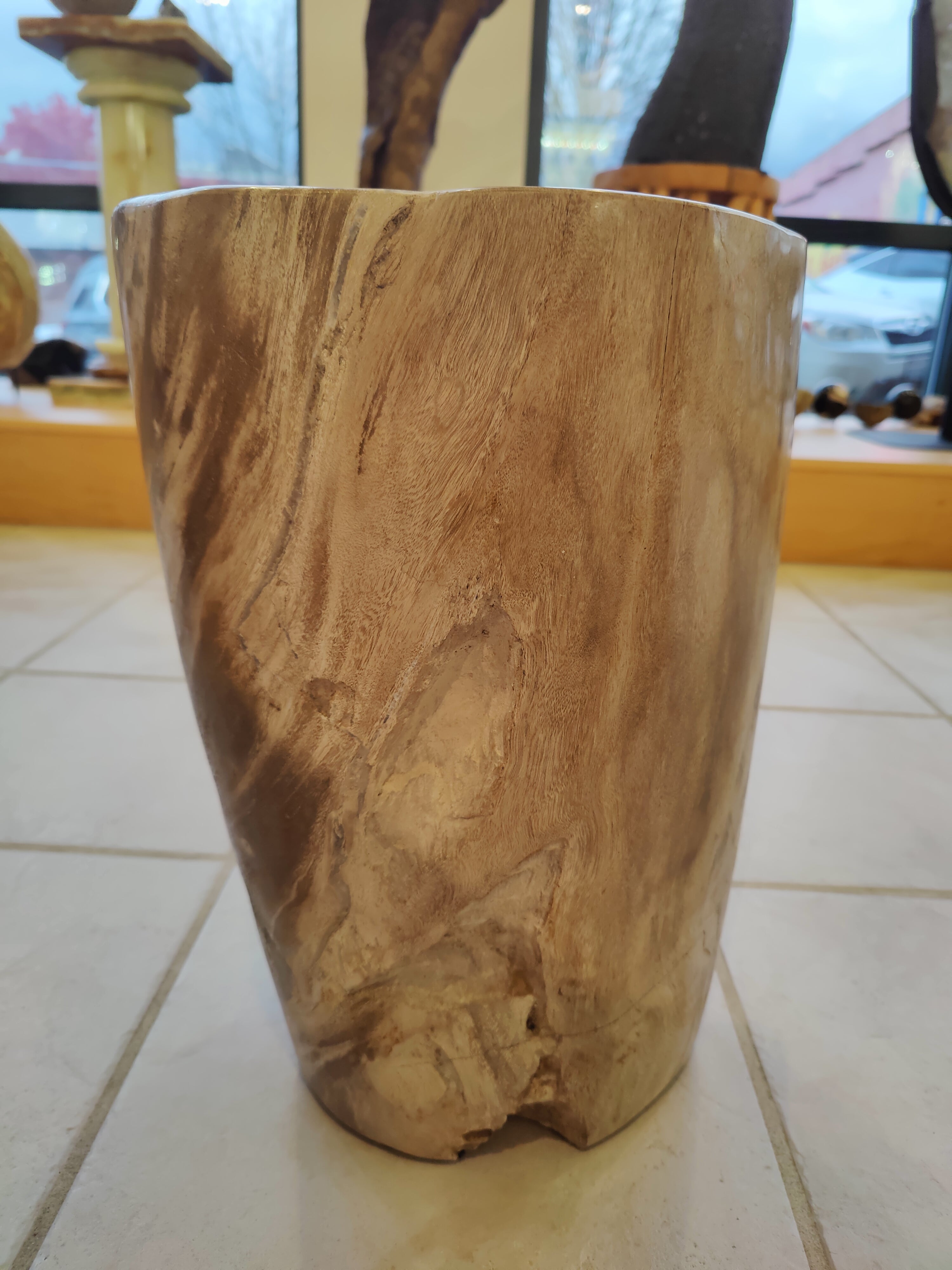 Petrified Wood Pedestal
